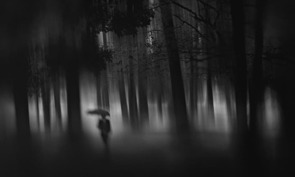 Solitary Forest Rain by Teruhiko Tsuchida — canvas wall art