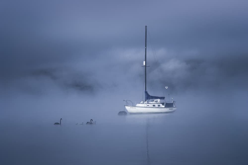 Misty Lake Sailboat Swans by Jianping Yang — canvas wall art