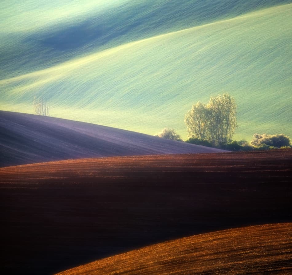 Peaceful Rolling Hills by Krzysztof Browko — canvas wall art