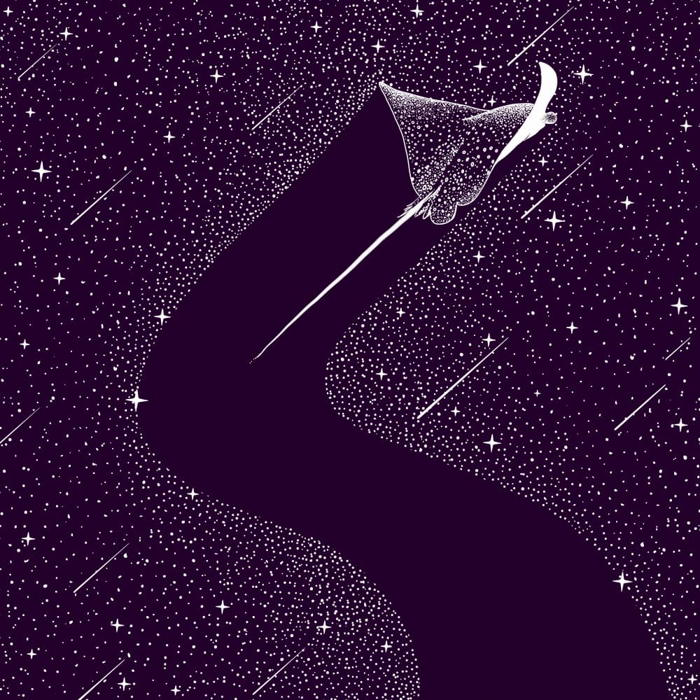 Cosmic Eagle Ray by Alirıza ÇAKIR — canvas wall art
