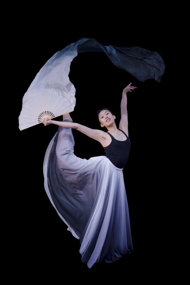 Elegant Fan Dancer by Mike He — canvas wall art