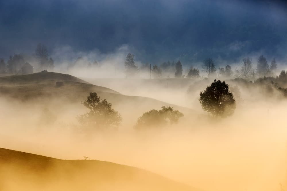 Golden Foggy Morning by Sveduneac Dorin Lucian — canvas wall art