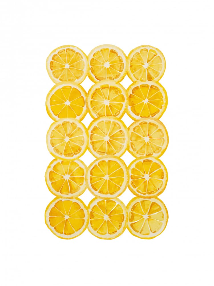 Fresh Lemon Slices by Ohkimiko — canvas wall art