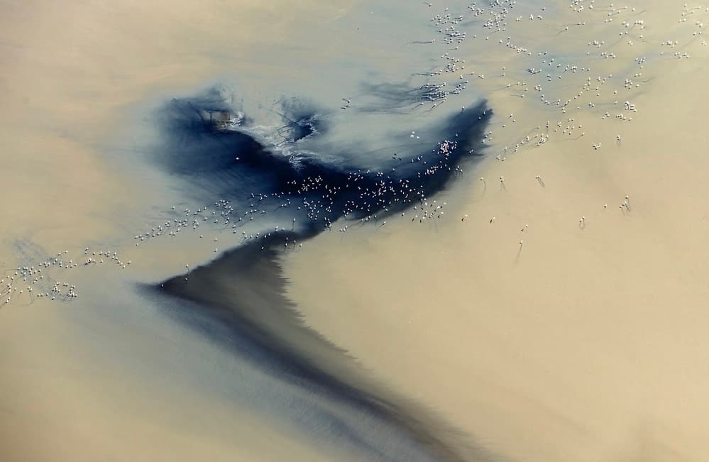Desert Blue Flow by Annie Poreider — canvas wall art