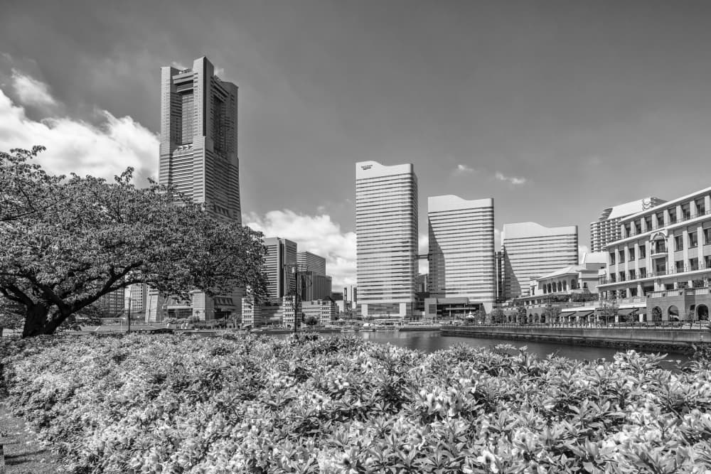 City Skyline Waterfront Park by Melanie Viola — canvas wall art