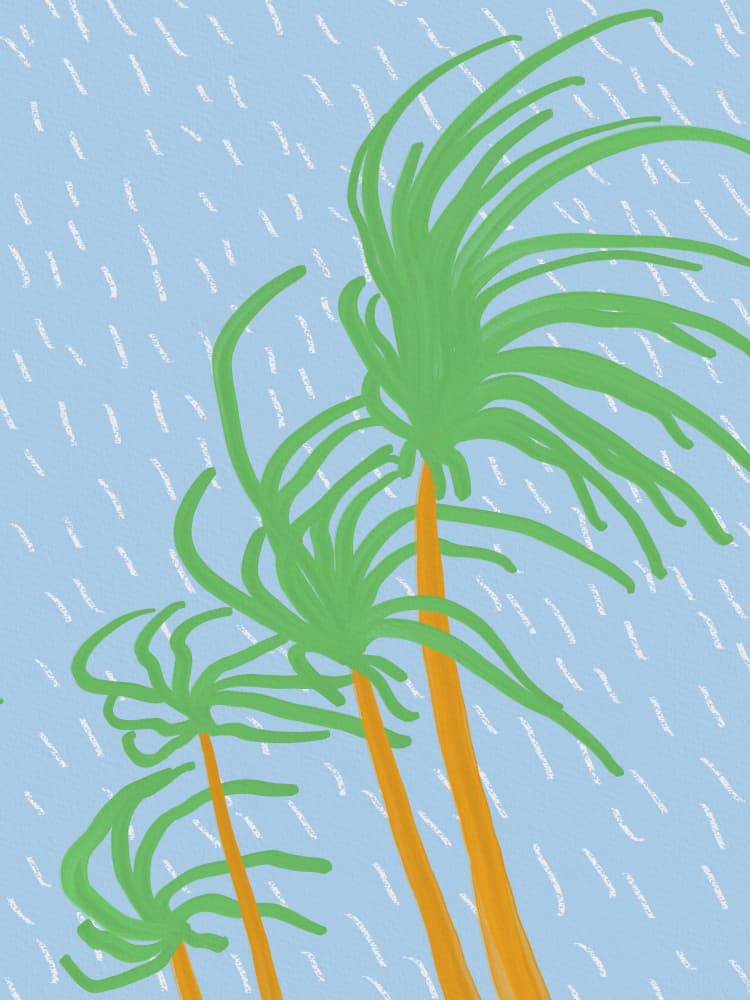 Stormy Tropical Palms by Little Dean — canvas wall art