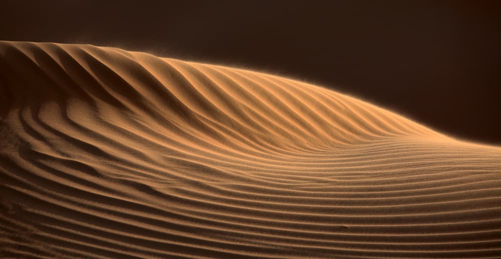 Golden Desert Waves by Judith Kuhn — canvas wall art
