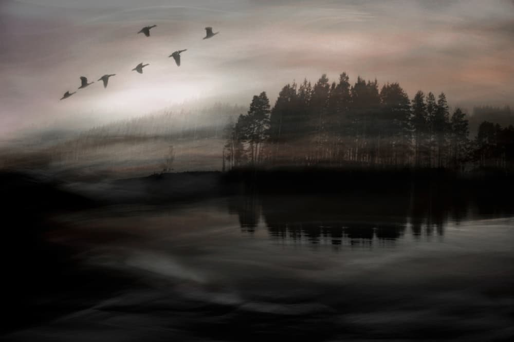 Birds Over Misty Lake by Christina Sillèn — canvas wall art