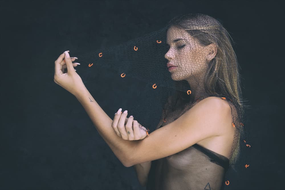 Orange Net Beauty by Joan Gil Raga — canvas wall art