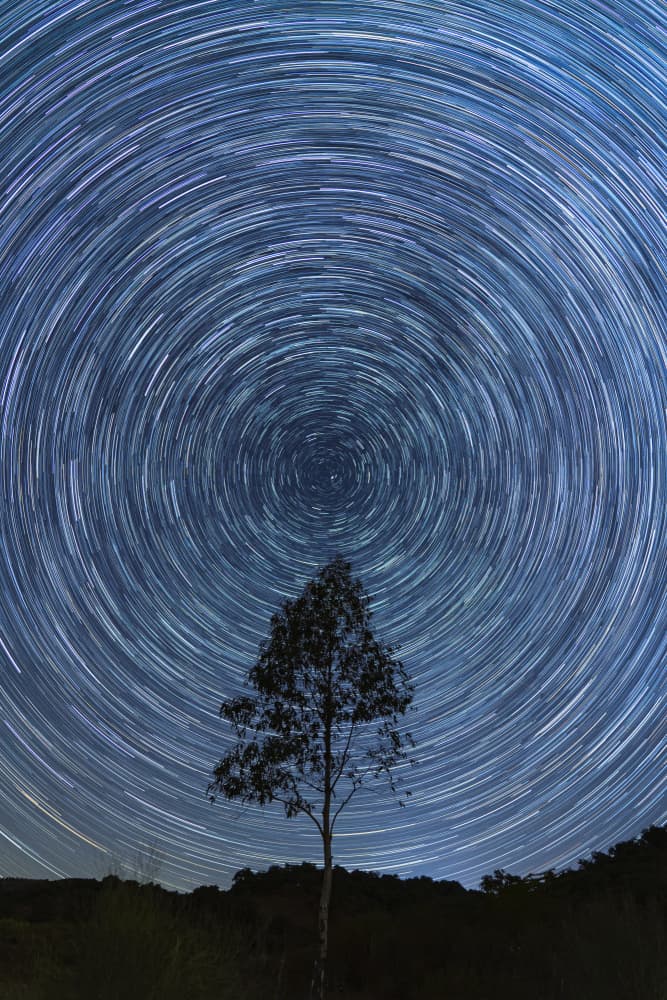 Star Trails Over Tree by JUAN CARLOS HERVÁS MARTÍNEZ — canvas wall art