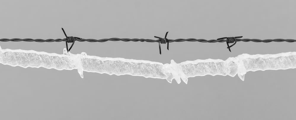 Stark Frozen Barbed Wire by Jesus Concepcion Alvarado — canvas wall art