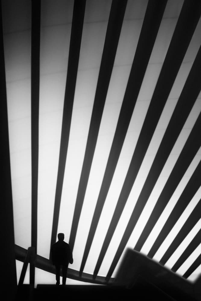 Modern Striped Silhouette by Paulo Abrantes — canvas wall art