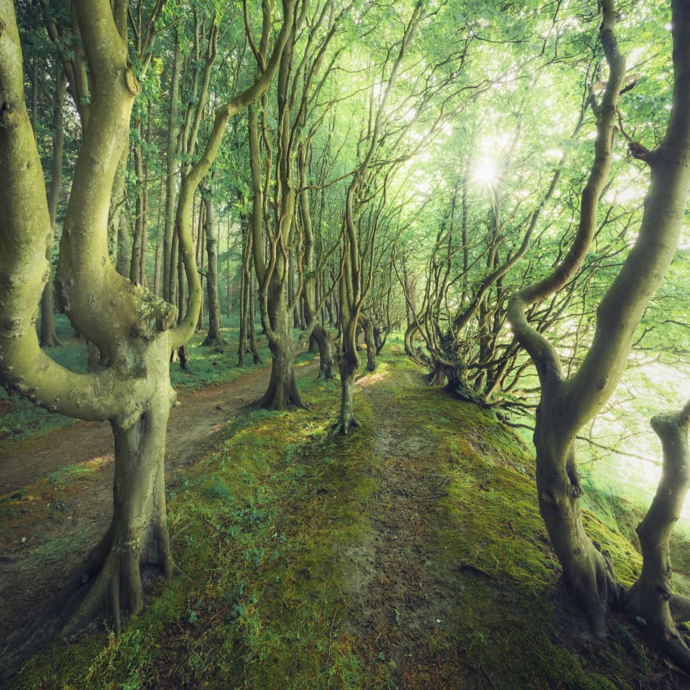 Crazy Lane by Stefan Hefele — canvas wall art
