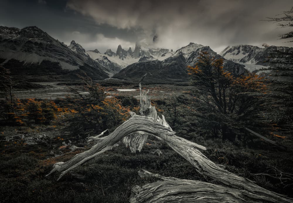 Rugged Mountains Fallen Tree by YANGYING — canvas wall art
