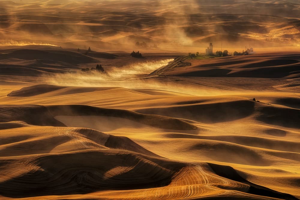 Golden Rolling Hills Mist by Lydia Jacobs — canvas wall art