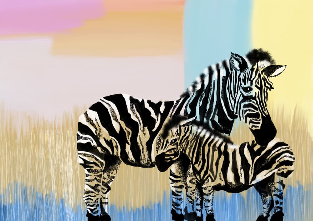 Mother Zebra And Foal by Art by the Ocean — canvas wall art