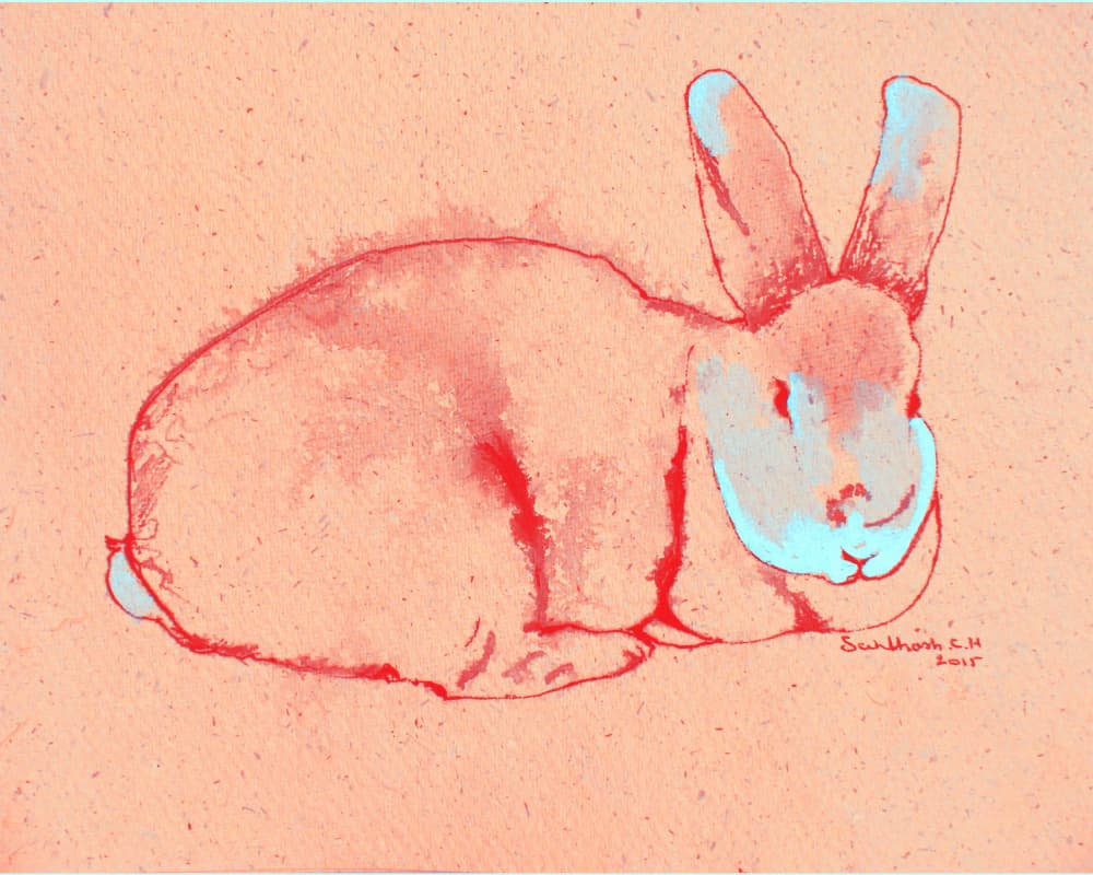 Pastel Bunny by Santhosh ch — canvas wall art