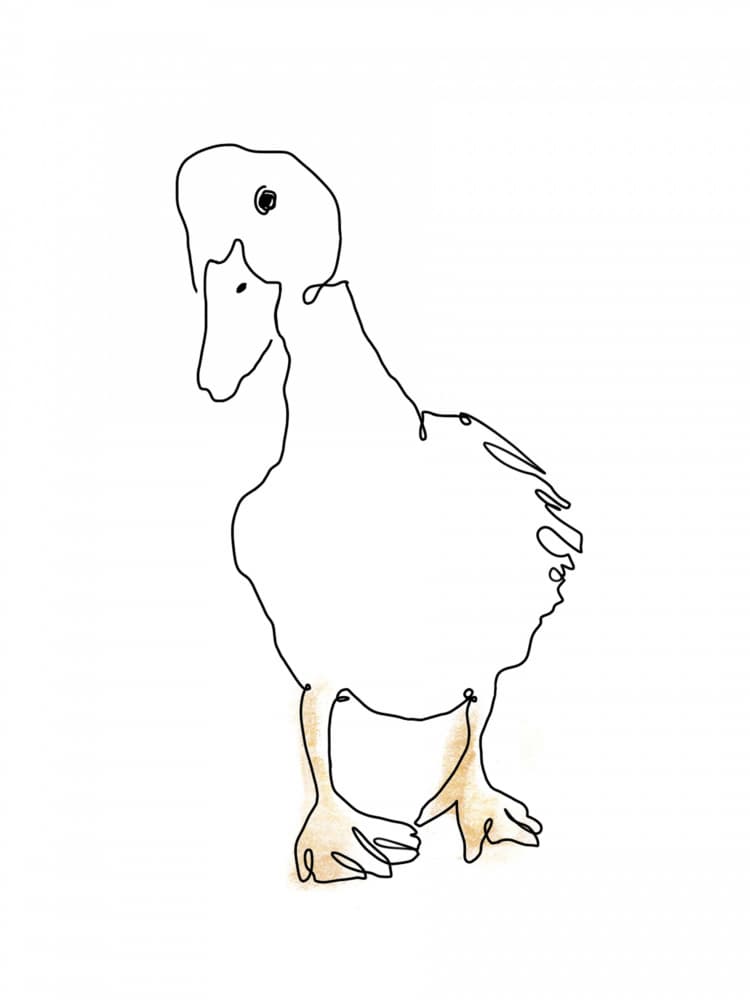 Sweet Duckling Line Art by Hanna Lee Tidd — canvas wall art