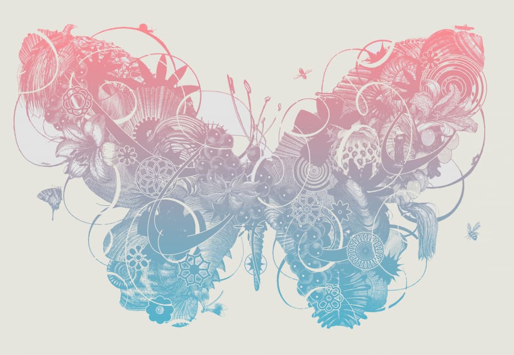 Gradient Floral Butterfly by Jaco Putker — canvas wall art