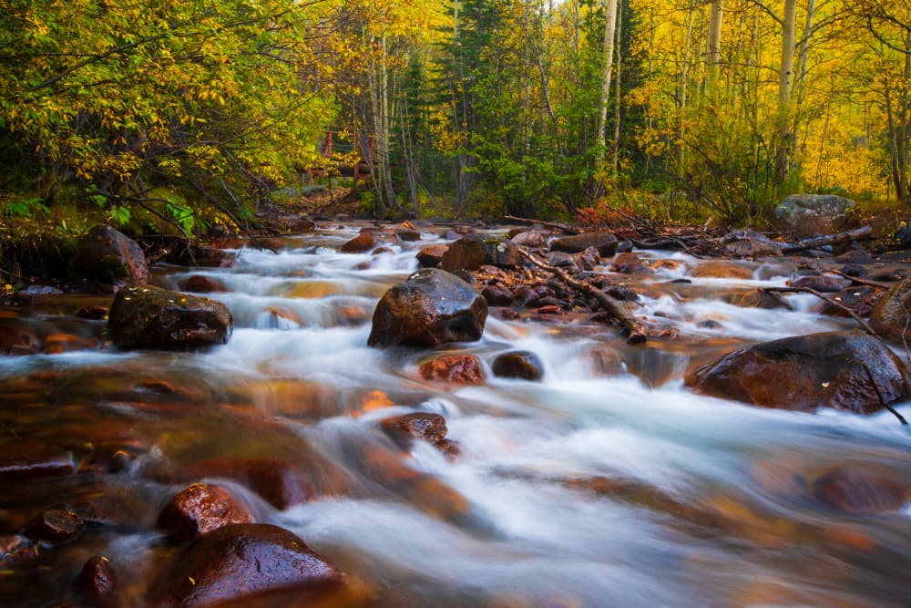 Autumn River Flow by Mike He — canvas wall art