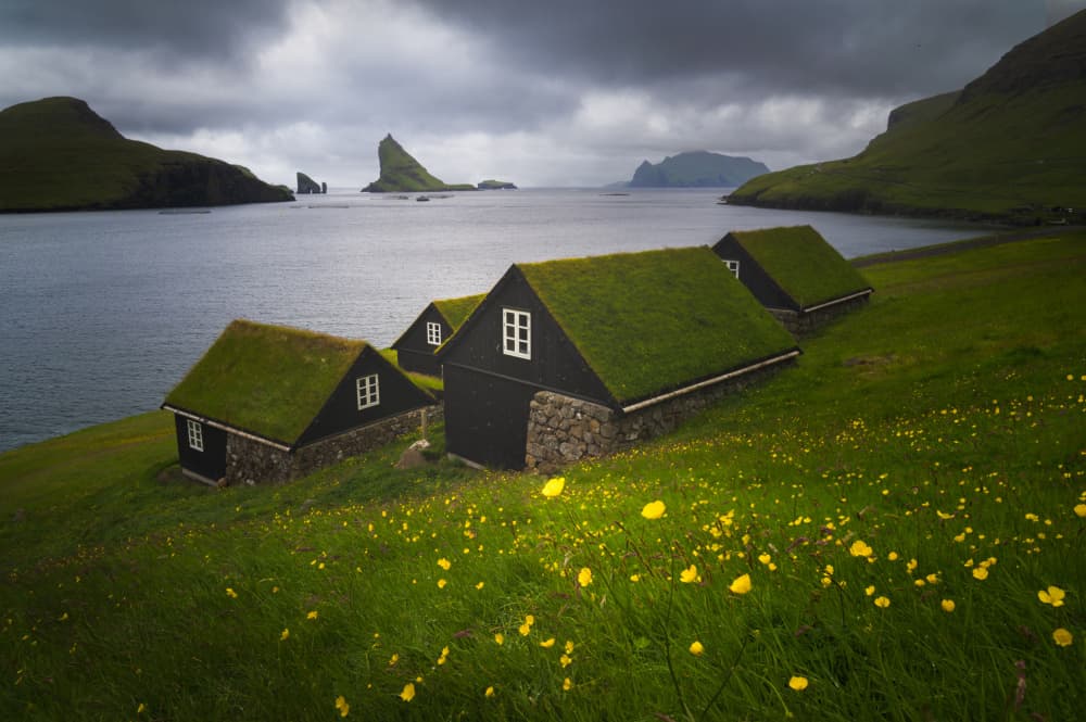 Nordic Grass Roof Village by Dawn X W — canvas wall art
