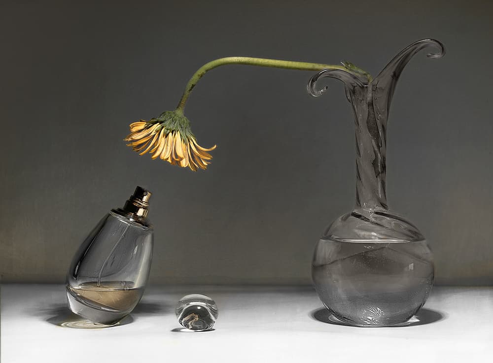 Wilted Flower Still Life by Elena Arjona — canvas wall art