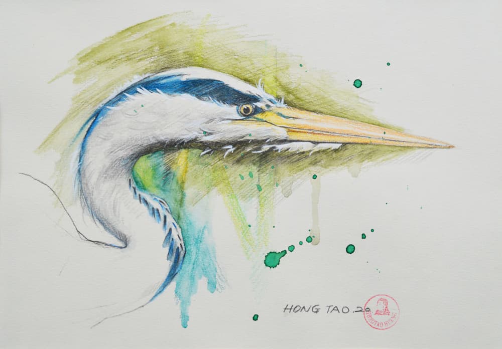 Graceful Heron Portrait by Hongtao Huang — canvas wall art
