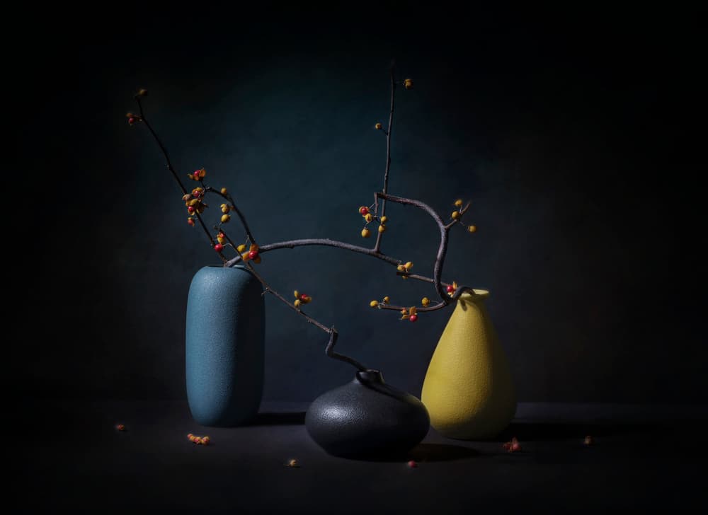 Elegant Branch Still Life by John-Mei Zhong — canvas wall art