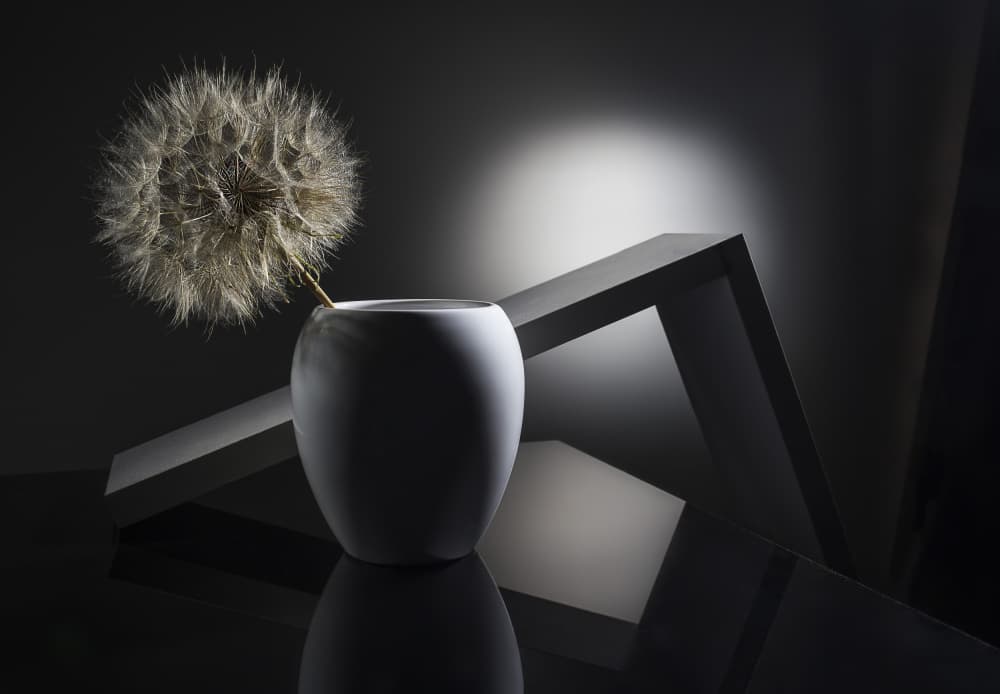 Modern Dandelion Vase by Evgeniy Popov — canvas wall art