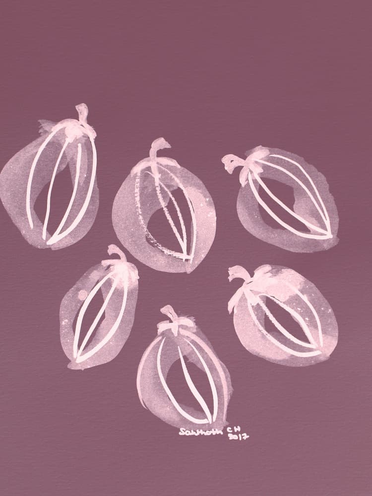 Plum Pink Pods by Santhosh ch — canvas wall art
