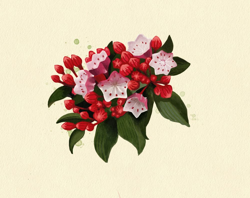Connecticut Mountain Laure by Katie O'Shea — canvas wall art