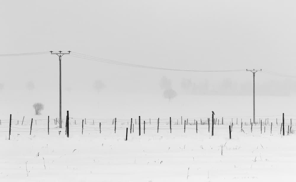 Stark Winter Landscape by Uschi Hermann — canvas wall art
