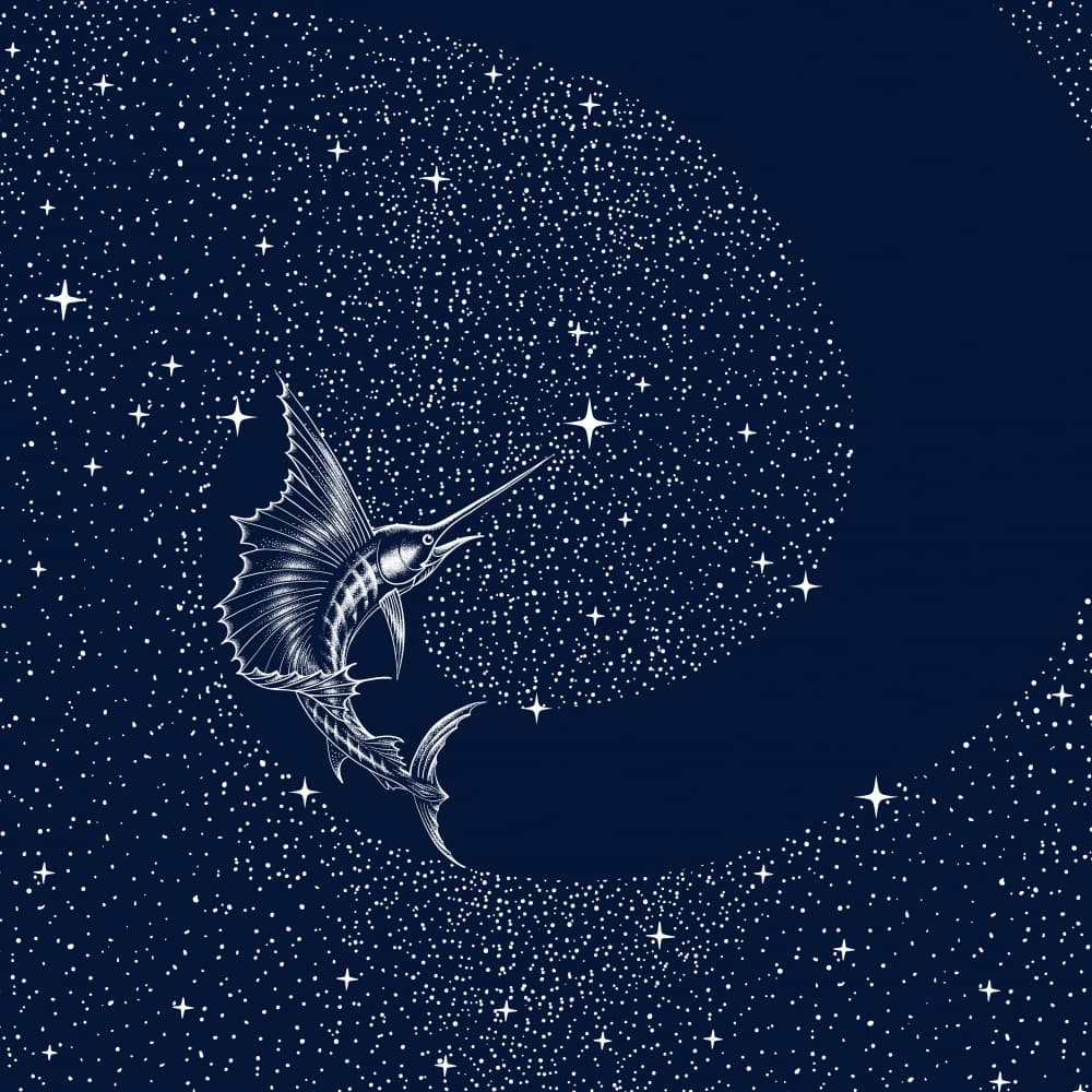 Celestial Sailfish by Alirıza ÇAKIR — canvas wall art