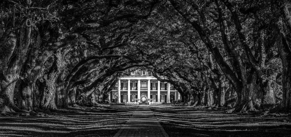 Grand Oak Tunnel Mansion by Martin Steeb — canvas wall art