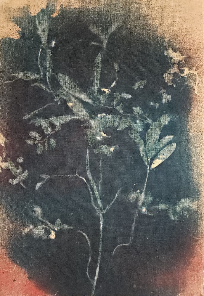 Faded Blue Botanical by Stefano Mazzolini — canvas wall art