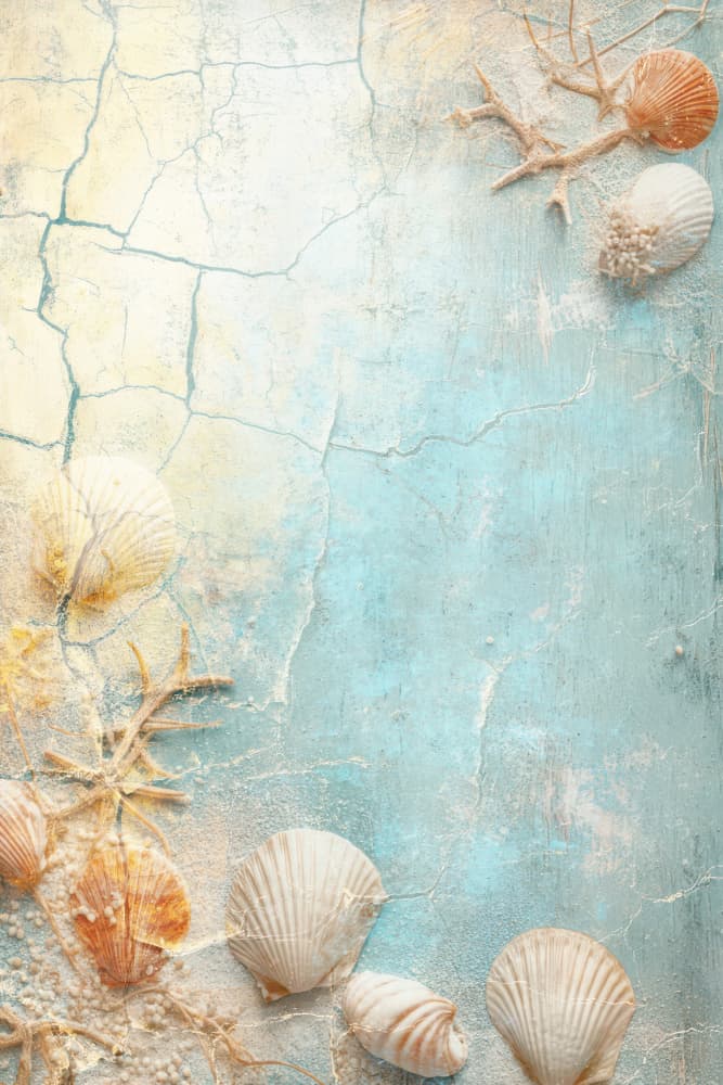 Vintage Beach Shells by Rafal Kulik — canvas wall art