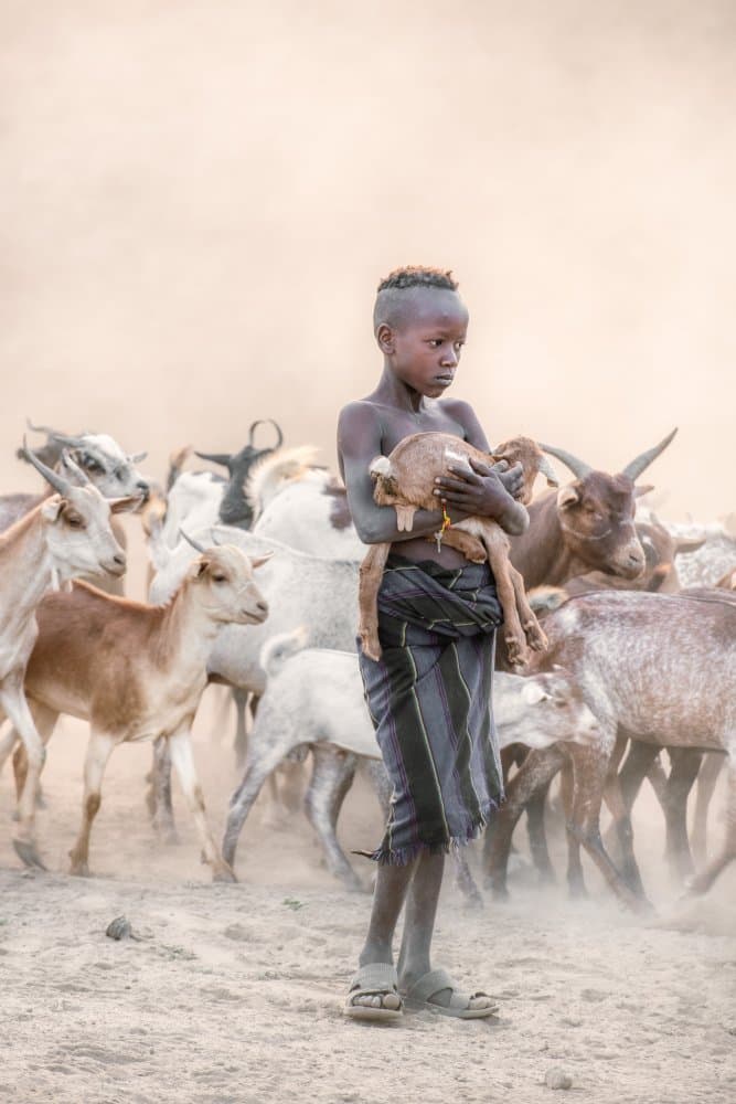 Young Herder and Goat by Trevor Cole — canvas wall art
