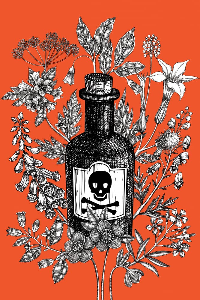 Skull Bottle Botanicals by Yevheniia Lytvynovych — canvas wall art