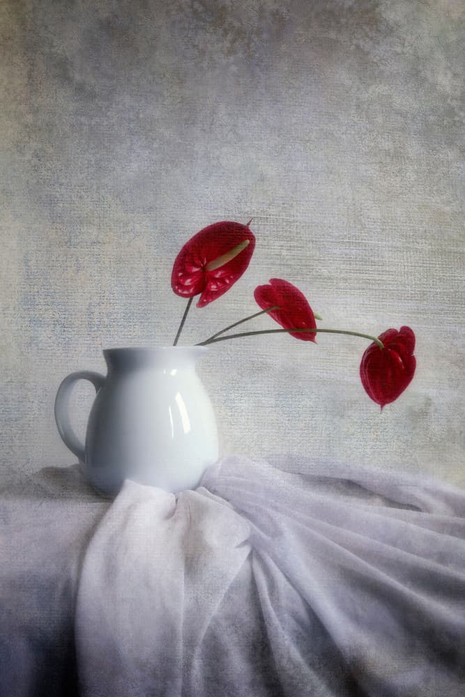 Red Anthurium Still Life by Hari Sulistiawan — canvas wall art
