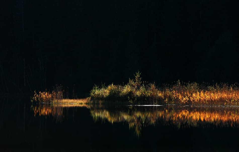 Tranquil Autumn Glow by Bror Johansson — canvas wall art