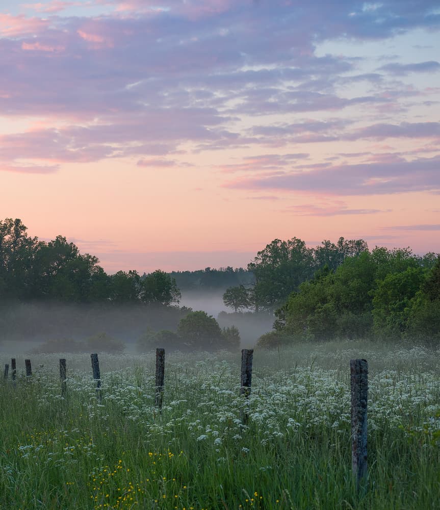 Misty Morning Field by Christian Lindsten — canvas wall art