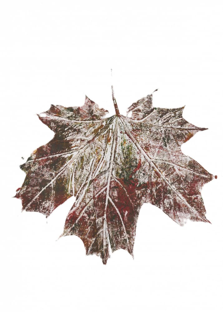 Rustic Autumn Maple Leaf by Maira Ribena — canvas wall art
