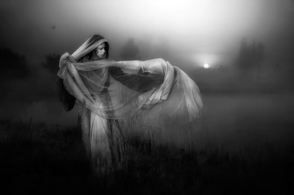 Mysterious Veiled Woman by Charlaine Gerber — canvas wall art