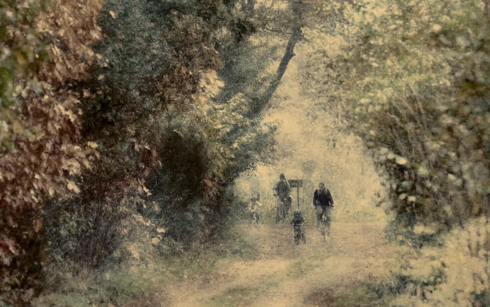 Woodland Bike Ride by Jan van der Linden — canvas wall art