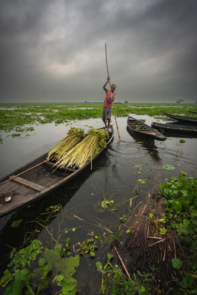 Boatman In Misty Marsh by HIRAK BHATTACHARJEE — canvas wall art