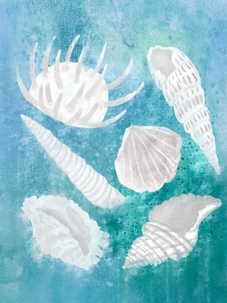 Gentle Ocean Shells by Aliya Putrus — canvas wall art