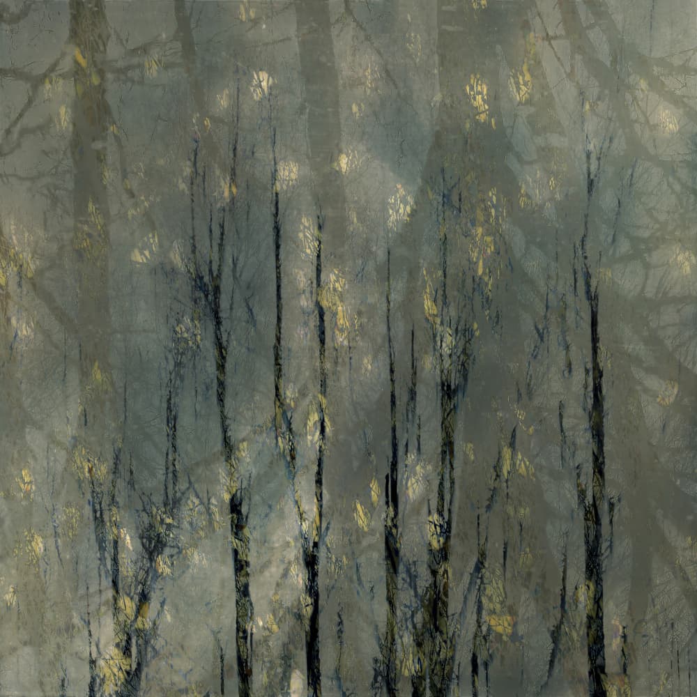 Bald trees by Nel Talen — canvas wall art