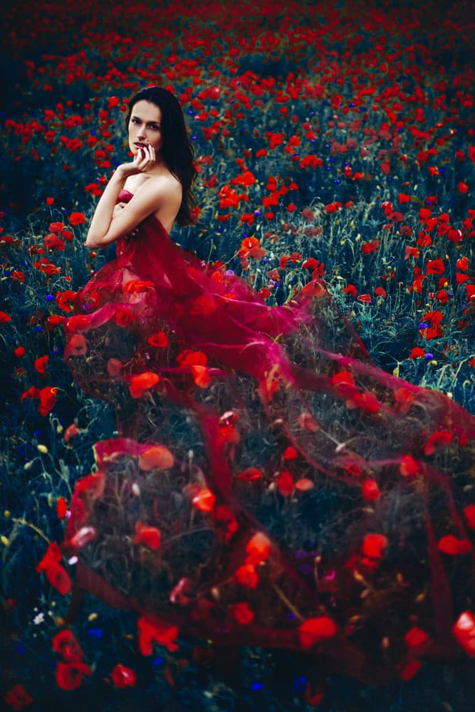 Dreamy Woman Red Poppies by Ruslan Bolgov — canvas wall art