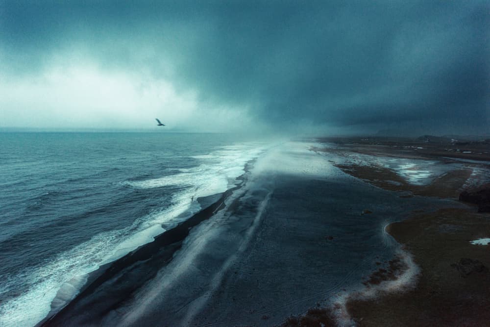 Wild Coastal Flight by Rafael L. Bardají — canvas wall art