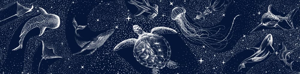 Celestial Marine Life by Alirıza ÇAKIR — canvas wall art
